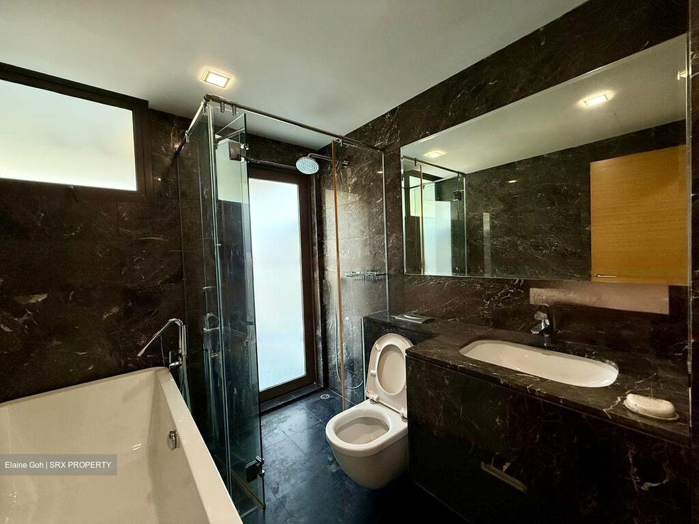 Stevens Suites (D10), Apartment #550131651